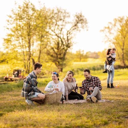 Naturpark-Draisine Holsteinische Schweiz Eine Familie machtein Picknick auf einer Wiese an der Bahnstrecke. Im Hintergrund steht die Draisine auf den Gleisen.