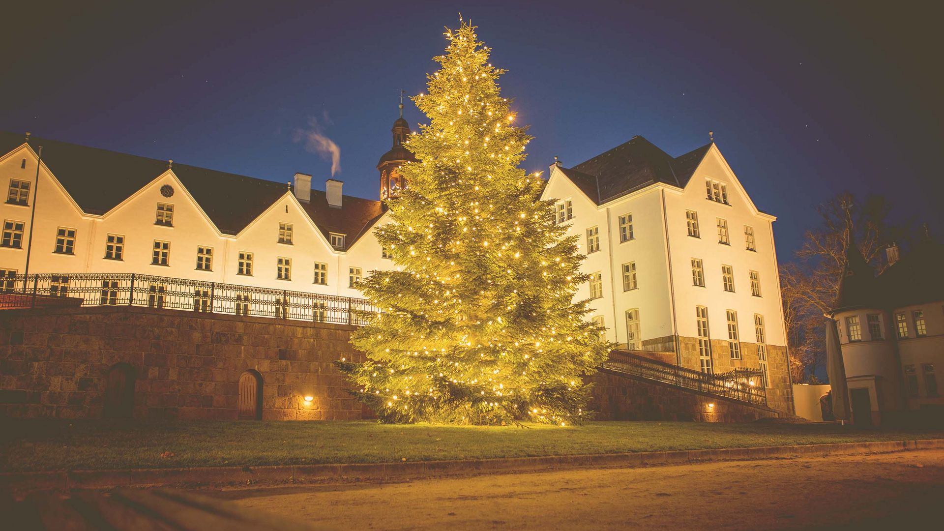 Plön am Schloss im Winter mit Tanne