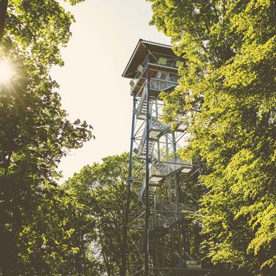 Der Holzbergturm in Malente