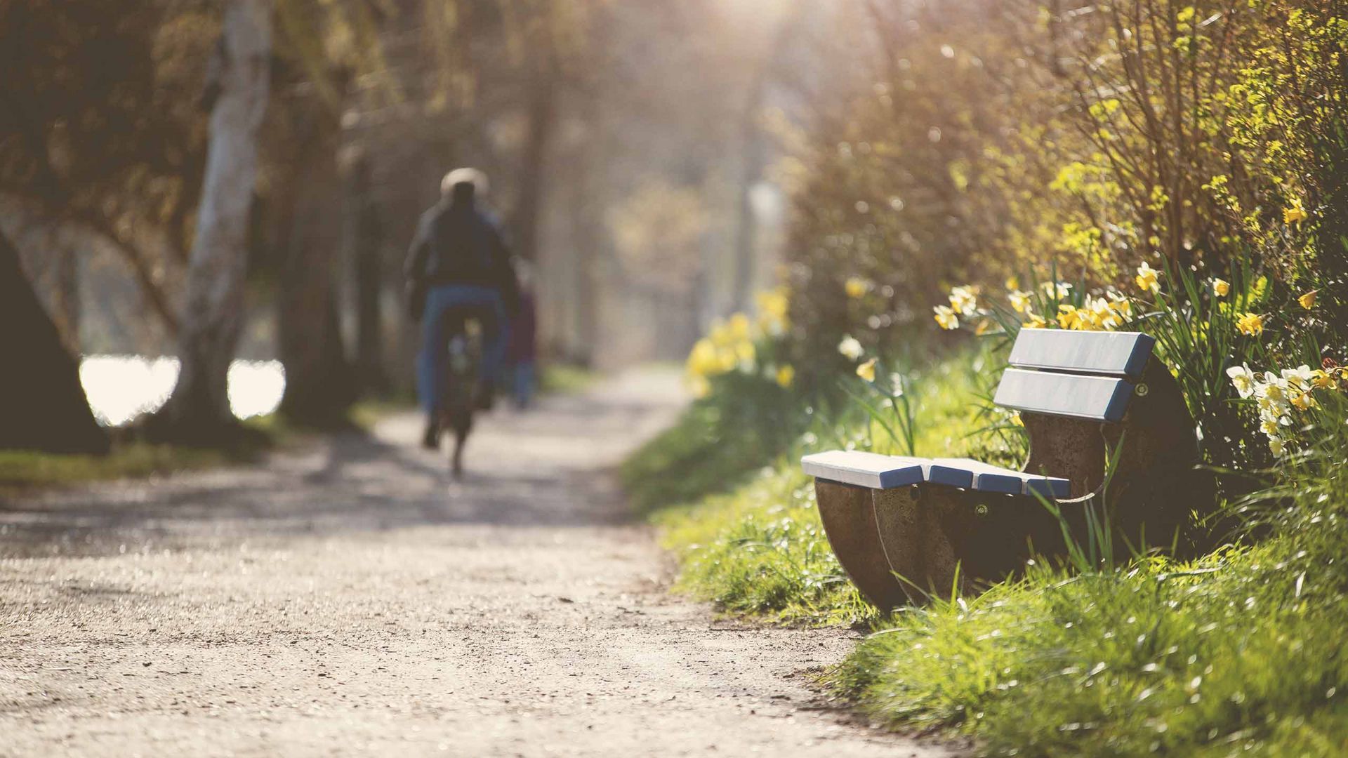 Der Plöner Strandweg lädt zu Spaziergängen ein