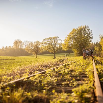 Naturpark-Draisine Holsteinische Schweiz Die Schienen umgeben von Knicks, Feldern und Wäldern. In der Ferne kommt eine Draisine angefahren.