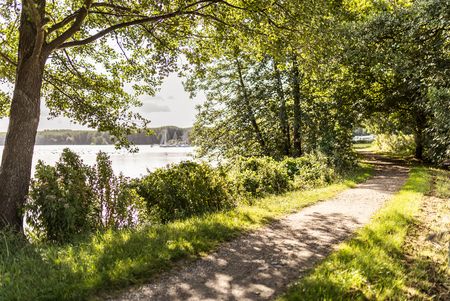 Wanderweg im Grünen am See gelegen