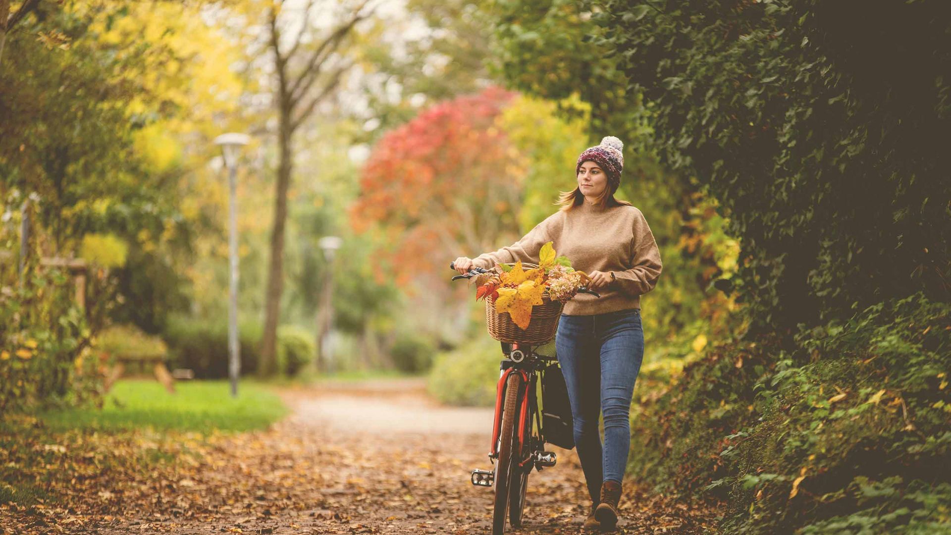 Plön im Herbst am Strandweg